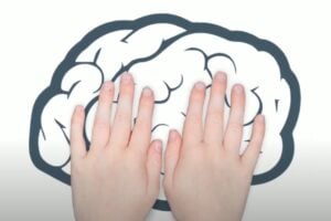 Honds-on Brain