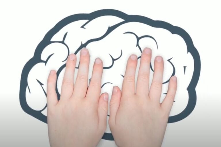 Honds-on Brain